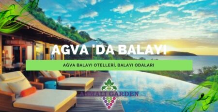 Ağva Balayı Otelleri Butikleri ve Konaklama