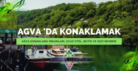 Ağva'da Konaklamak Ucuz Otel Butik