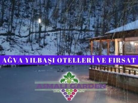 Ağva Yılbaşı Programları 2021 - Yılbaşı Otelleri