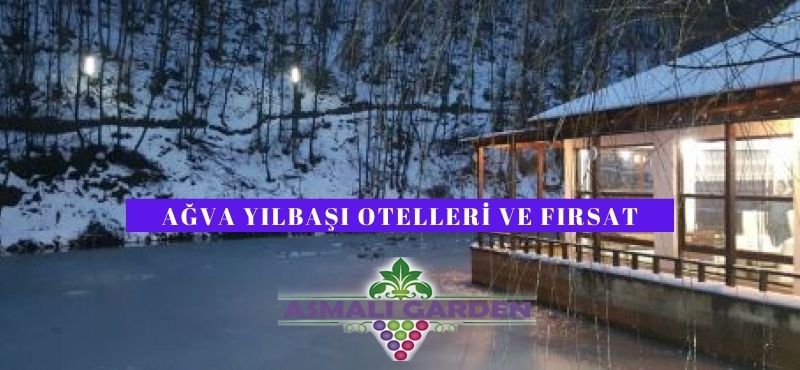 Ağva Yılbaşı Programları 2021 - Yılbaşı Otelleri