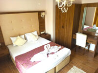 Asmalı Garden Oda 101